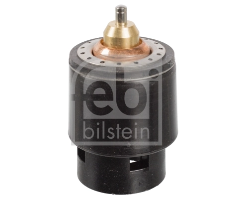 Thermostat, coolant